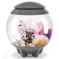 Морской желудь розовый маленький (Barnacle ornament small pink) Морской желудь розовый маленький (Barnacle ornament small pink)