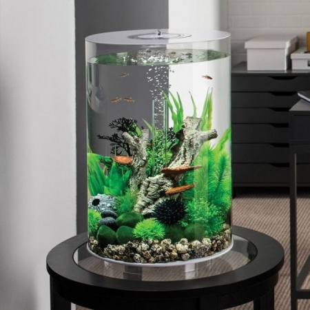 Biorb TUBE 30 литров, белый, LED