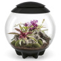 Флорариум biOrb AIR 60 Black черный