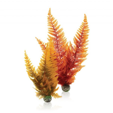 Комплект Осенний папоротник (Aquatic autumn fern set 2) Комплект Осенний папоротник (Aquatic autumn fern set 2)