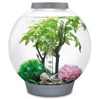 Комплект декора Summer 30 (Decor Set 30L Summer) Комплект декора Summer 30 (Decor Set 30L Summer)