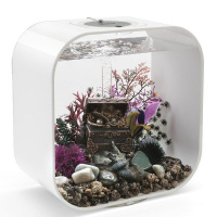 Сундук с сокровищами (Treasure Chest) Сундук с сокровищами (Treasure Chest)