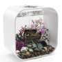 Сундук с сокровищами (Treasure Chest) Сундук с сокровищами (Treasure Chest)