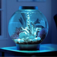 Biorb CLASSIC 30 литров, серебристый, LED Biorb CLASSIC 30 литров, серебристый, LED