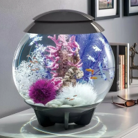 Шар Aquatic фиолетовый (Aquatic colour ball purple) Шар Aquatic фиолетовый (Aquatic colour ball purple)