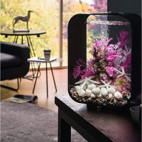 Риф розовый (Reef ornament pink) Риф розовый (Reef ornament pink)