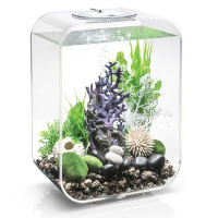 Риф фиолетовый (Reef ornament purple) Риф фиолетовый (Reef ornament purple)