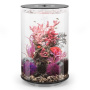 Растения красные и розовые средние (Plant set medium red & pink) Растения красные и розовые средние (Plant set medium red & pink)