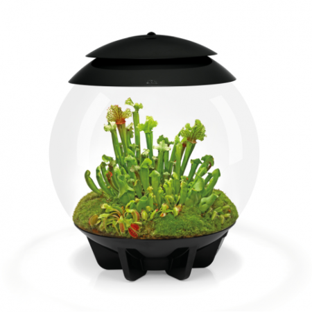 Флорариум biOrb AIR 30 Black NEW черный Флорариум biOrb AIR 30 Black NEW черный