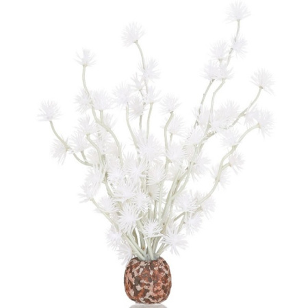 Бонсай белый ( Bonsai ball white) Бонсай белый ( Bonsai ball white)