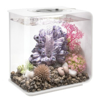 Скопление морских желудей (Barnacle cluster ornament) Скопление морских желудей (Barnacle cluster ornament)