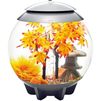 Комплект декора Autumn 30 (Decor Set 30L Autumn) Комплект декора Autumn 30 (Decor Set 30L Autumn)