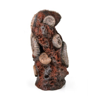 Древние раковины на пеньке (Ancient conch ornament) Древние раковины на пеньке (Ancient conch ornament)