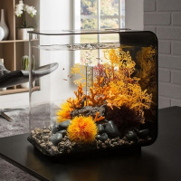 Застывшая лава с огненным кораллом (Lava rock with fire coral ornament) Застывшая лава с огненным кораллом (Lava rock with fire coral ornament)