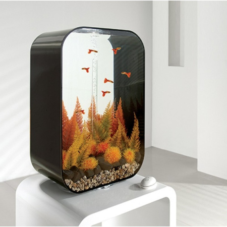 Комплект Осенний папоротник (Aquatic autumn fern set 2) Комплект Осенний папоротник (Aquatic autumn fern set 2)