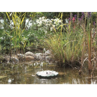 Pontec PondoSolar Lily Island