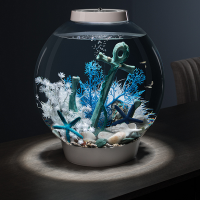 Морские звезды 3шт. синие (Starfish set 3 blue) Морские звезды 3шт. синие (Starfish set 3 blue)