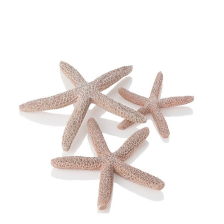 Морские звезды