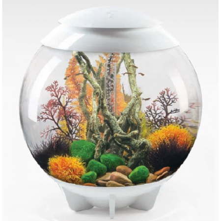 Коряга большая (Moorwood ornament large)