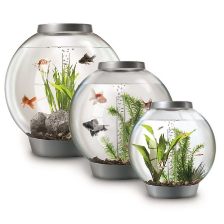 Biorb CLASSIC 30 литров, белый, LED