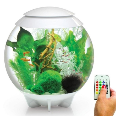 Biorb HALO 60 литров, белый, MCR