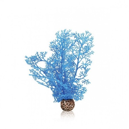 Синий морской веер малый (Sea fan small blue)