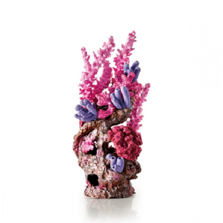 Риф малиновый (Reef ornament red)